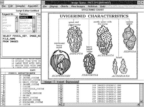 Image Database Project
