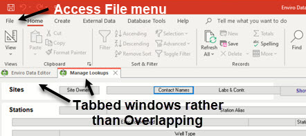 tabbed access windows