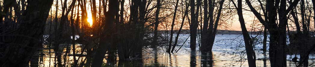 SunsetWater